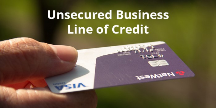 Unsecured business line of credit