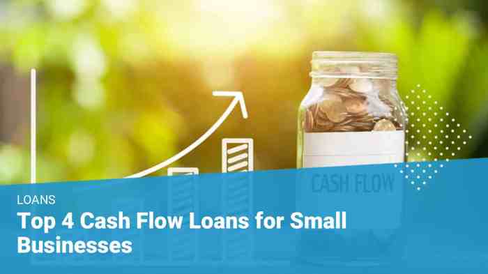 Business cash flow loans