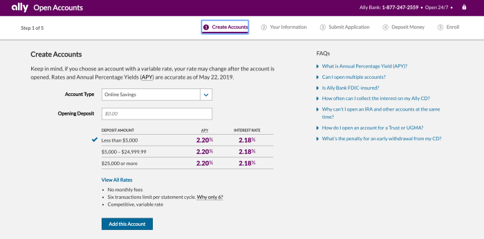 Ally high yield savings