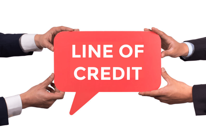 Business line of credit