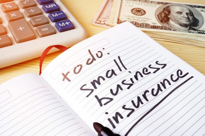 Essential Insurance for Your Thriving Small Business