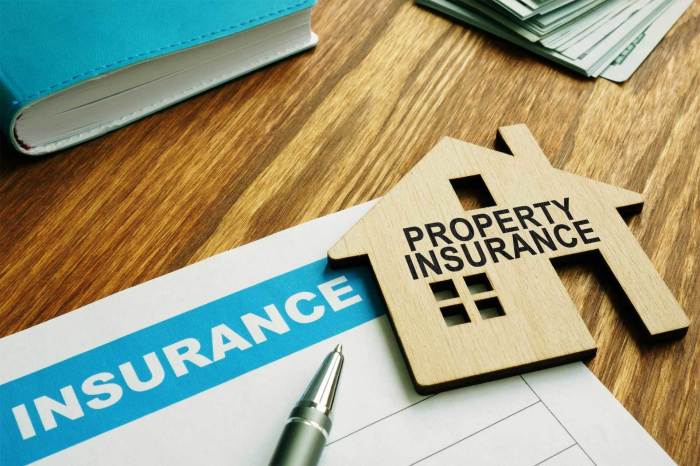 Insurance claims selo patrimonial homeowners ultimate webinar liability importance q2 outlook courts rule lawyer lauderdale