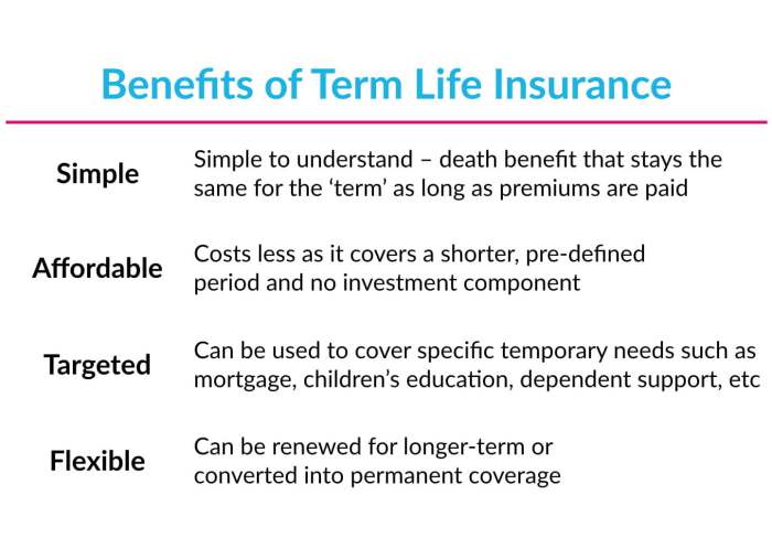 Best online term life insurance