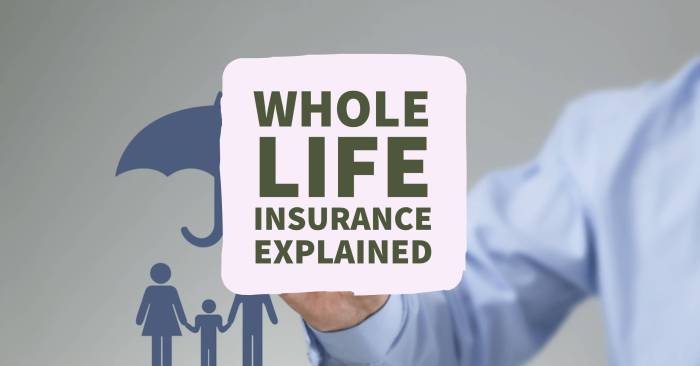 Policy inbuilt illness disability accidental against Best online life insurance policy