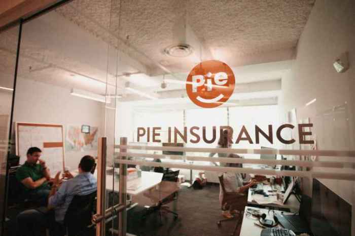 Pi insurance for small business
