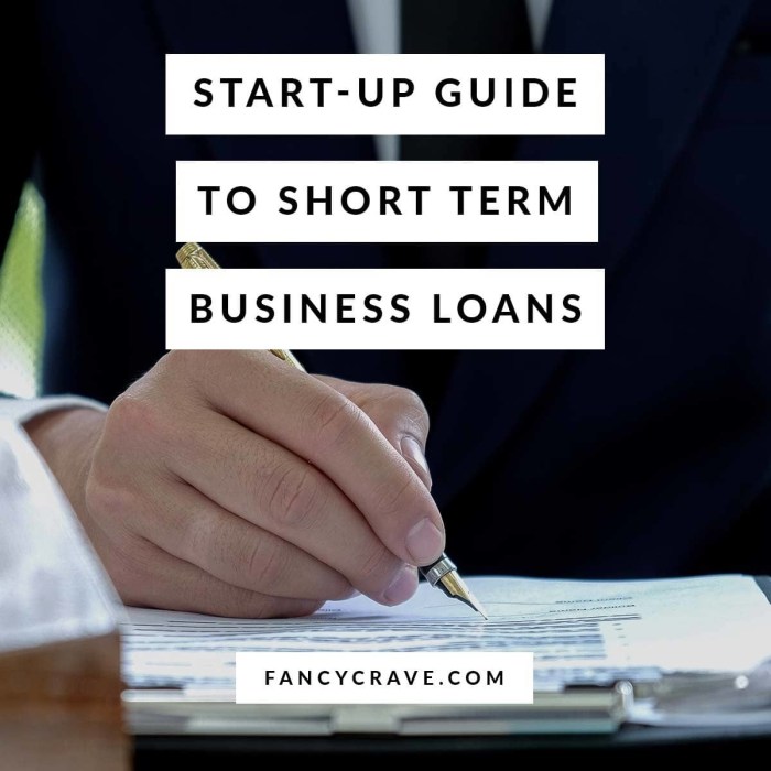 Short-Term Business Loans: A Lifeline for Business Growth