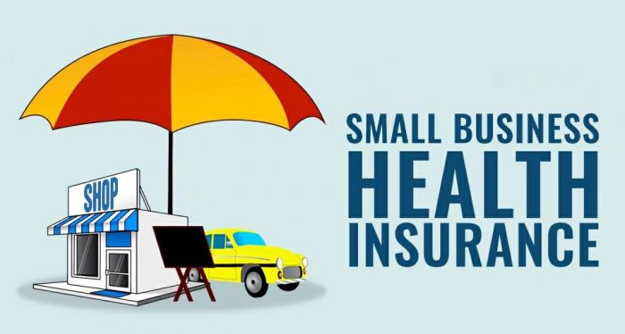 Health insurance providers for small business