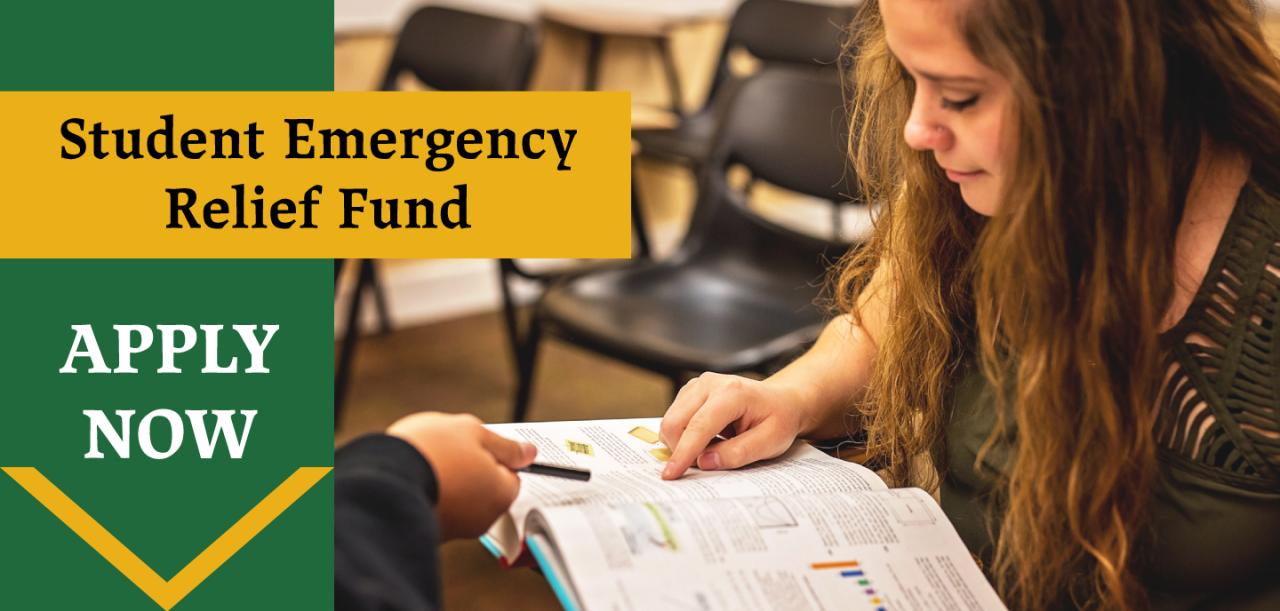 Emergency financial relief program