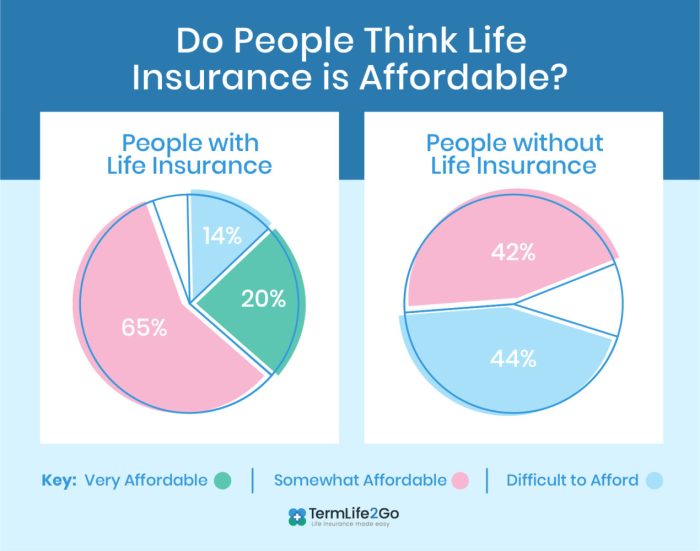 Most Affordable Life Insurance Policy: Secure Your Family’s Future at a Budget-Friendly Cost