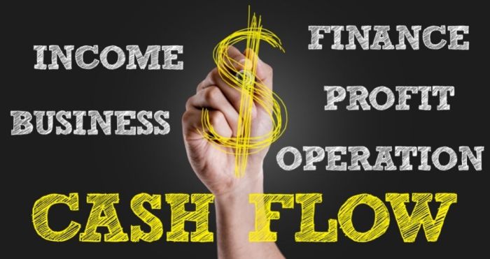 Unveiling Business Cash Flow Loans: A Lifeline for Business Growth