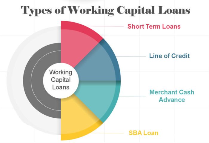 Unlock Financial Freedom for Your Small Business with Working Capital Loans