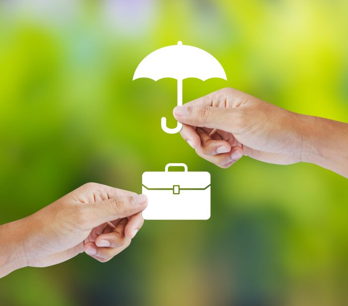 Top Rated Small Business Insurance: A Comprehensive Guide for Protection and Peace of Mind