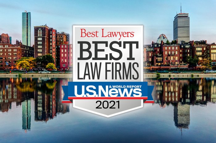 Best litigation firm