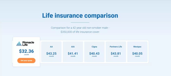 Life insurance affordable ways find