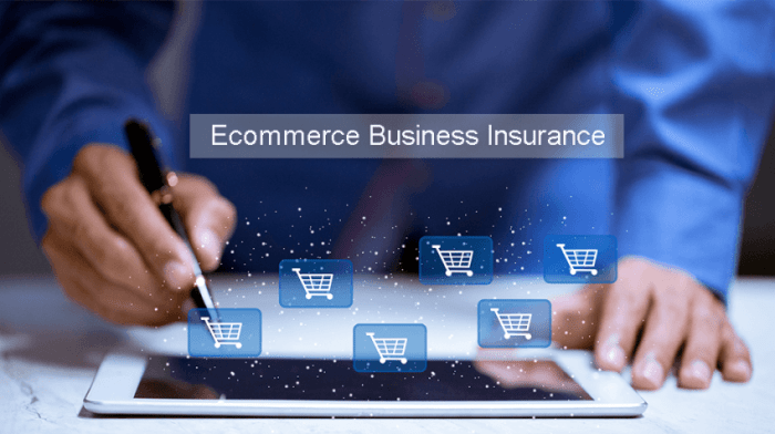 Small business ecommerce insurance
