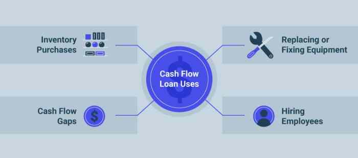 Business cash flow loans