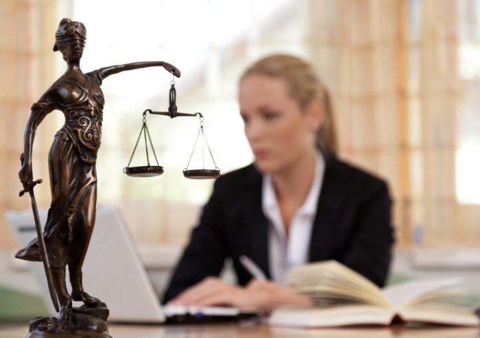 Lawyers lawyer attorney