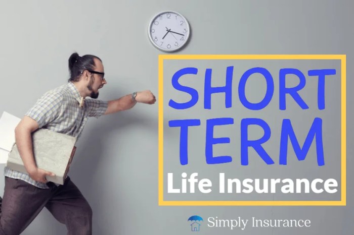 Best short term life insurance