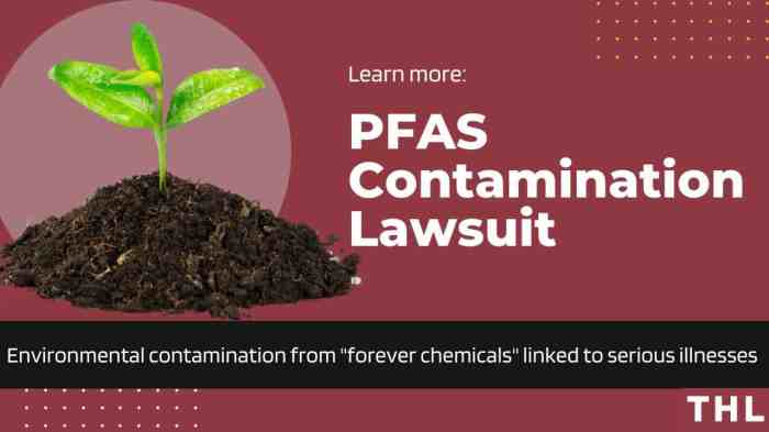 Environmental litigation attorney for pollution lawsuits
