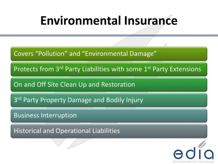 Navigating Insurance Litigation for Environmental Damage