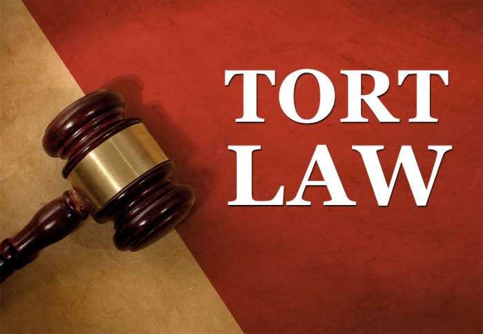 Tort lawyer for personal injury